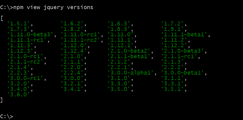 npm command to get all versions of package